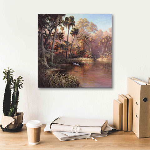 Image of 'Myakka Sunset' by Art Fronckowiak, Giclee Canvas Wall Art,18x18