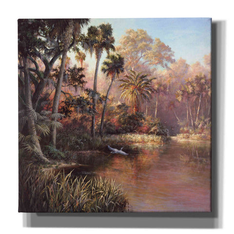 Image of 'Myakka Sunset' by Art Fronckowiak, Giclee Canvas Wall Art