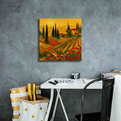 Image of 'Poppies of Toscano I' by Art Fronckowiak, Giclee Canvas Wall Art,18x18