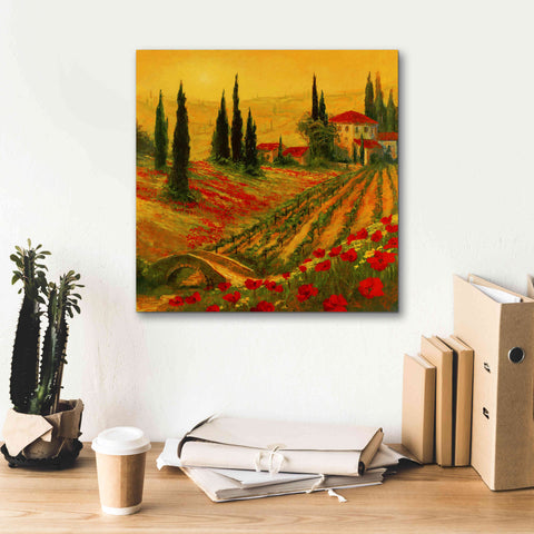 Image of 'Poppies of Toscano I' by Art Fronckowiak, Giclee Canvas Wall Art,18x18