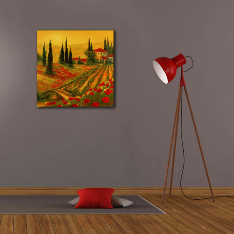 Image of 'Poppies of Toscano I' by Art Fronckowiak, Giclee Canvas Wall Art,26x26