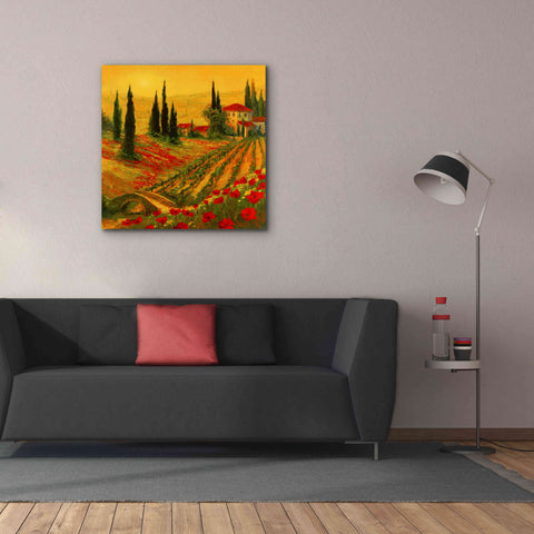 Image of 'Poppies of Toscano I' by Art Fronckowiak, Giclee Canvas Wall Art,37x37