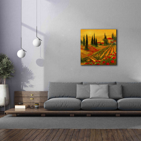 Image of 'Poppies of Toscano I' by Art Fronckowiak, Giclee Canvas Wall Art,37x37