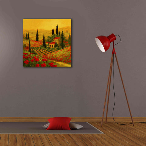 Image of 'Poppies of Toscano II' by Art Fronckowiak, Giclee Canvas Wall Art,26x26