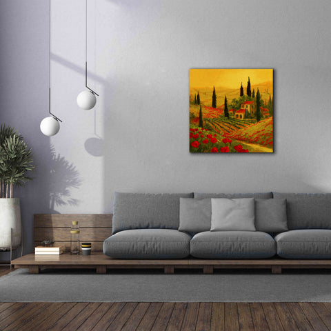 Image of 'Poppies of Toscano II' by Art Fronckowiak, Giclee Canvas Wall Art,37x37