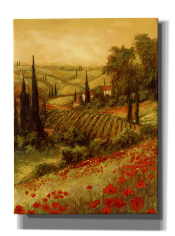 Image of 'Toscano Valley II' by Art Fronckowiak, Giclee Canvas Wall Art