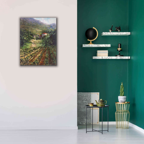 Image of 'Tuscany Vineyard' by Art Fronckowiak, Giclee Canvas Wall Art,26x34