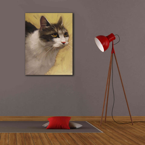 Image of 'Derby Cat' by Diane Hoeptner, Giclee Canvas Wall Art,26x34