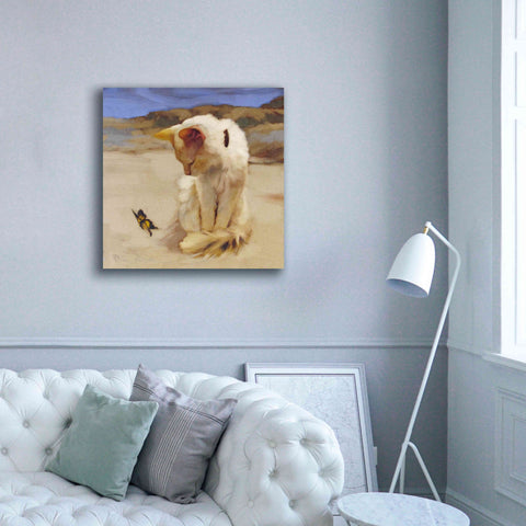 Image of 'Eye on Butterfly V' by Diane Hoeptner, Giclee Canvas Wall Art,37x37