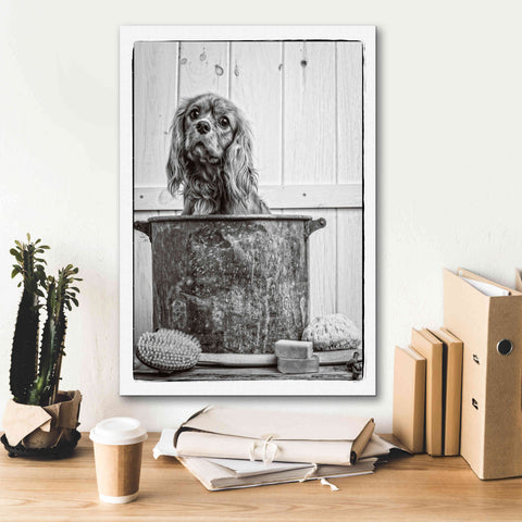 Image of 'Vintage Puppy Bath' by Edward M. Fielding, Giclee Canvas Wall Art,18x26