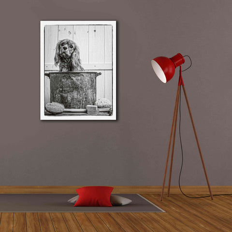 Image of 'Vintage Puppy Bath' by Edward M. Fielding, Giclee Canvas Wall Art,26x34