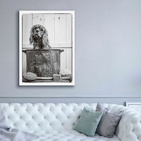 Image of 'Vintage Puppy Bath' by Edward M. Fielding, Giclee Canvas Wall Art,40x54