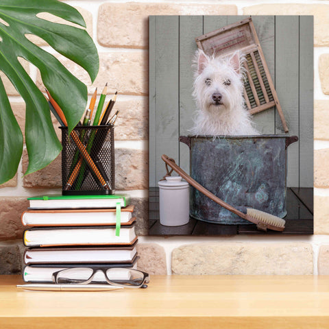 Image of 'Washing the Dog' by Edward M. Fielding, Giclee Canvas Wall Art,12x16
