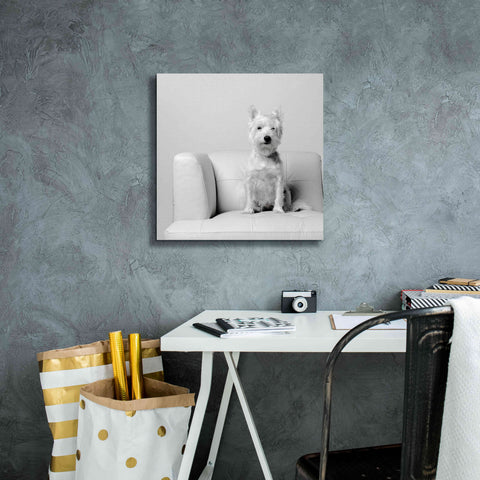 Image of 'White on White' by Edward M. Fielding, Giclee Canvas Wall Art,18x18