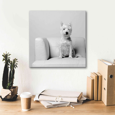 Image of 'White on White' by Edward M. Fielding, Giclee Canvas Wall Art,18x18