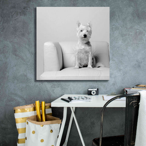 Image of 'White on White' by Edward M. Fielding, Giclee Canvas Wall Art,26x26