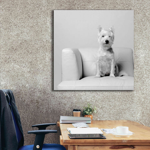 Image of 'White on White' by Edward M. Fielding, Giclee Canvas Wall Art,37x37