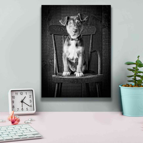 Image of 'Mutt Black & White' by Edward M. Fielding, Giclee Canvas Wall Art,12x16