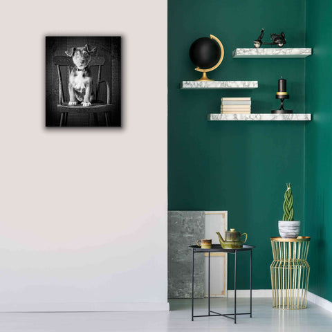 Image of 'Mutt Black & White' by Edward M. Fielding, Giclee Canvas Wall Art,20x24