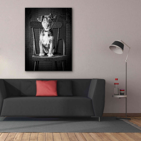 Image of 'Mutt Black & White' by Edward M. Fielding, Giclee Canvas Wall Art,40x54