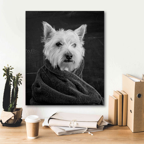 Image of 'Portrait of a Westy Dog' by Edward M. Fielding, Giclee Canvas Wall Art,20x24