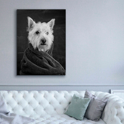 Image of 'Portrait of a Westy Dog' by Edward M. Fielding, Giclee Canvas Wall Art,40x54