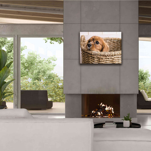 Image of 'Puppy in a Laundry Basket' by Edward M. Fielding, Giclee Canvas Wall Art,34x26
