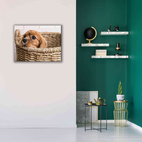 Image of 'Puppy in a Laundry Basket' by Edward M. Fielding, Giclee Canvas Wall Art,34x26