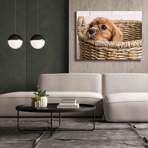Image of 'Puppy in a Laundry Basket' by Edward M. Fielding, Giclee Canvas Wall Art,54x40