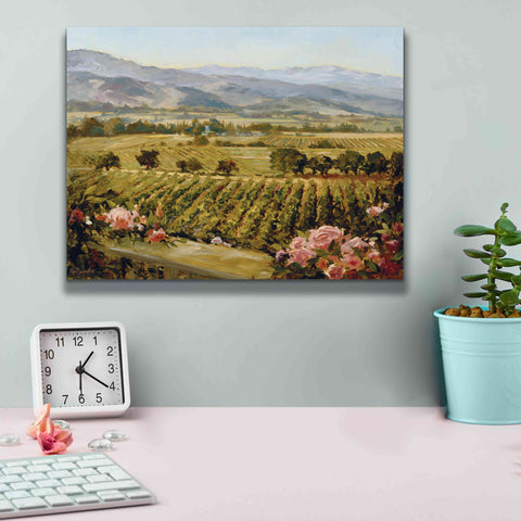 Image of 'Vineyards to Vaca Mountains' by Ellie Freudenstein, Giclee Canvas Wall Art,16x12