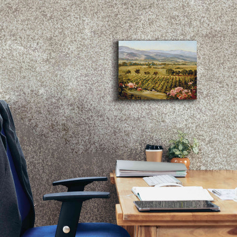 Image of 'Vineyards to Vaca Mountains' by Ellie Freudenstein, Giclee Canvas Wall Art,16x12