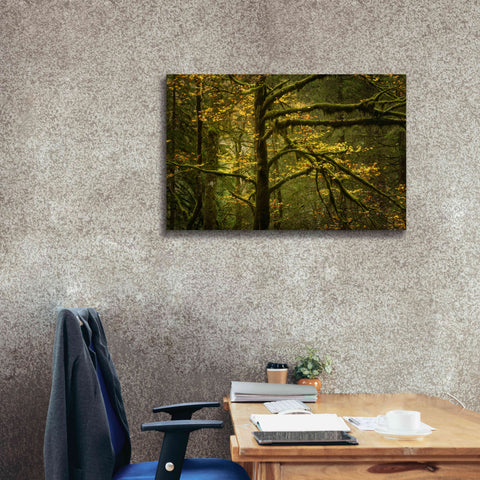 Image of 'Golden Drops' by Enrico Fossati, Giclee Canvas Wall Art,40x26