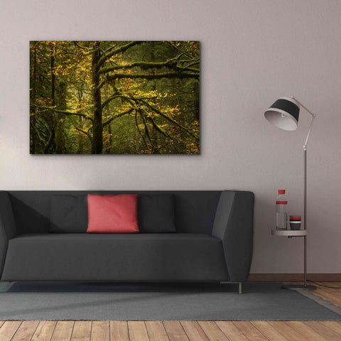 Image of 'Golden Drops' by Enrico Fossati, Giclee Canvas Wall Art,60x40