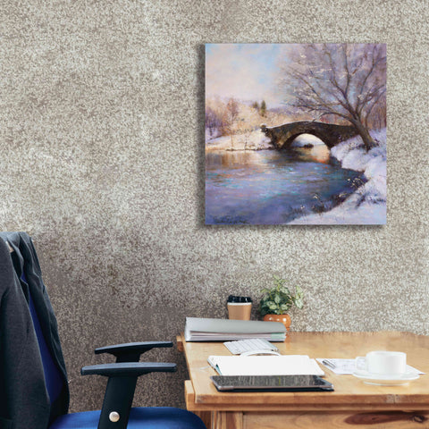 Image of 'Central Park Bridge' by Esther Engelman, Giclee Canvas Wall Art,26x26