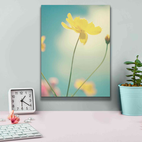 Image of 'Summer Breeze' by Kim Fearheiley, Giclee Canvas Wall Art,12x16