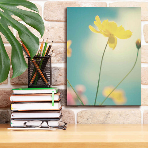 Image of 'Summer Breeze' by Kim Fearheiley, Giclee Canvas Wall Art,12x16