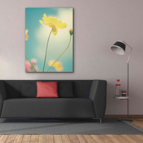 Image of 'Summer Breeze' by Kim Fearheiley, Giclee Canvas Wall Art,40x54