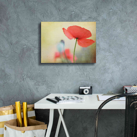 Image of 'Poppy' by Kim Fearheiley, Giclee Canvas Wall Art,16x12