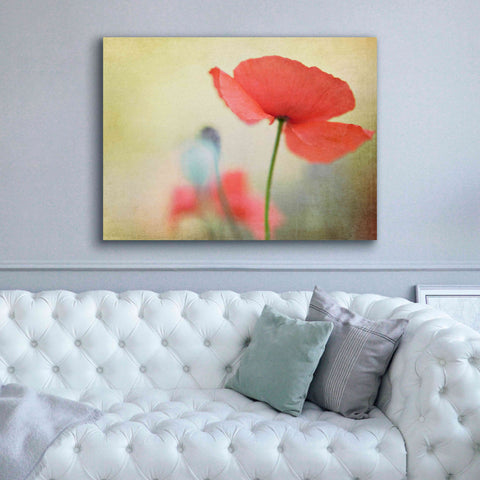 Image of 'Poppy' by Kim Fearheiley, Giclee Canvas Wall Art,54x40