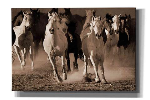 Image of 'About Face' by Lisa Dearing, Giclee Canvas Wall Art