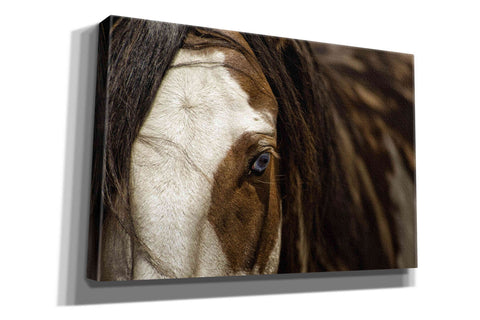 Image of 'Blue' by Lisa Dearing, Giclee Canvas Wall Art