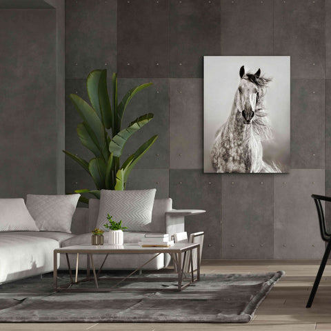 Image of 'Caballo de Andaluz' by Lisa Dearing, Giclee Canvas Wall Art,40x54