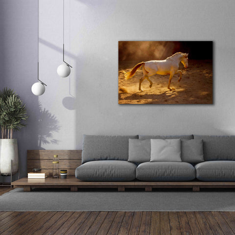 Image of 'Dancing In The Light' by Lisa Dearing, Giclee Canvas Wall Art,60x40