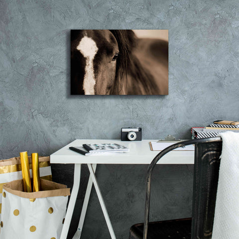 Image of 'Dark Eyes' by Lisa Dearing, Giclee Canvas Wall Art,18x12