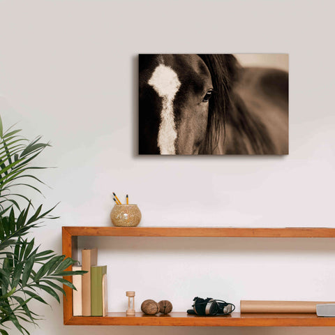 Image of 'Dark Eyes' by Lisa Dearing, Giclee Canvas Wall Art,18x12