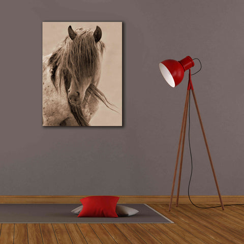 Image of 'Freedom' by Lisa Dearing, Giclee Canvas Wall Art,26x34