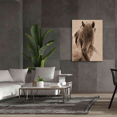 Image of 'Freedom' by Lisa Dearing, Giclee Canvas Wall Art,40x54