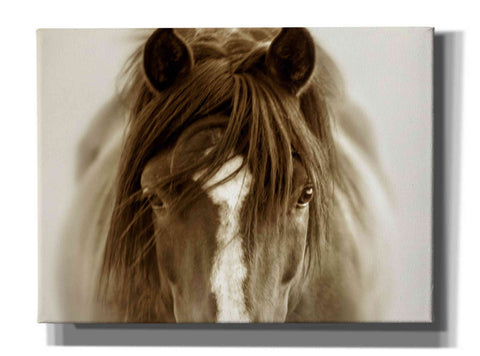 Image of 'Ghost Horse' by Lisa Dearing, Giclee Canvas Wall Art