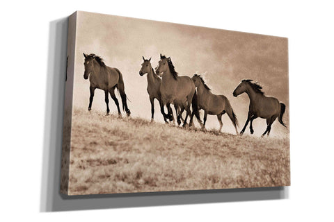 Image of 'Kicking Dust' by Lisa Dearing, Giclee Canvas Wall Art