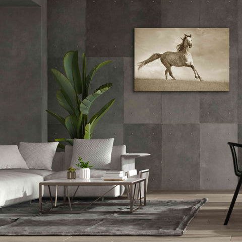 Image of 'Like the Wind' by Lisa Dearing, Giclee Canvas Wall Art,60x40